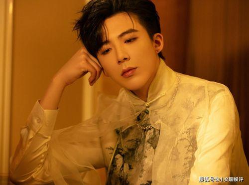 刘宇宁直播爆料最新消息视频,最新消息视频深度解析  第1张